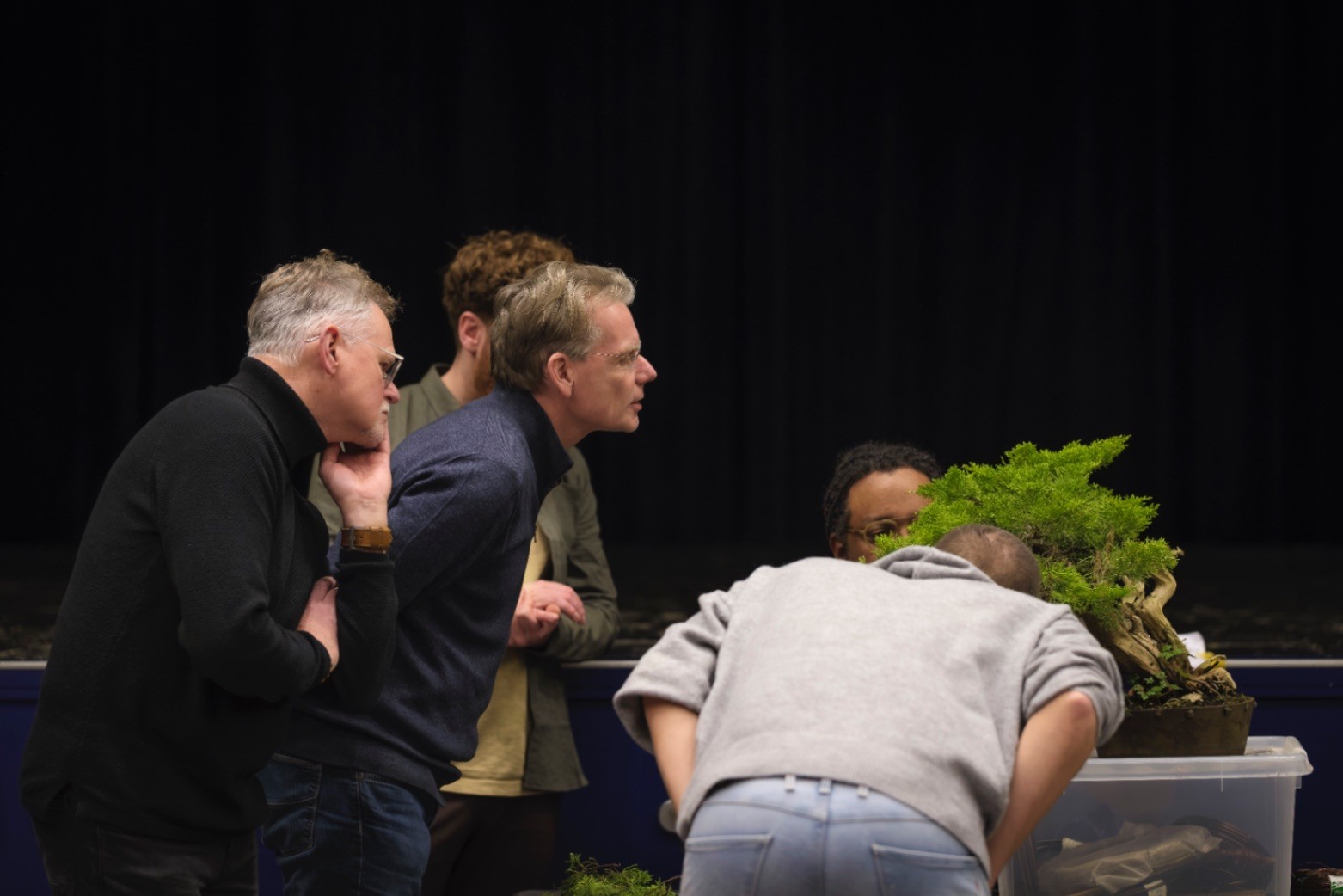 bonsai evenement bijeenkomst