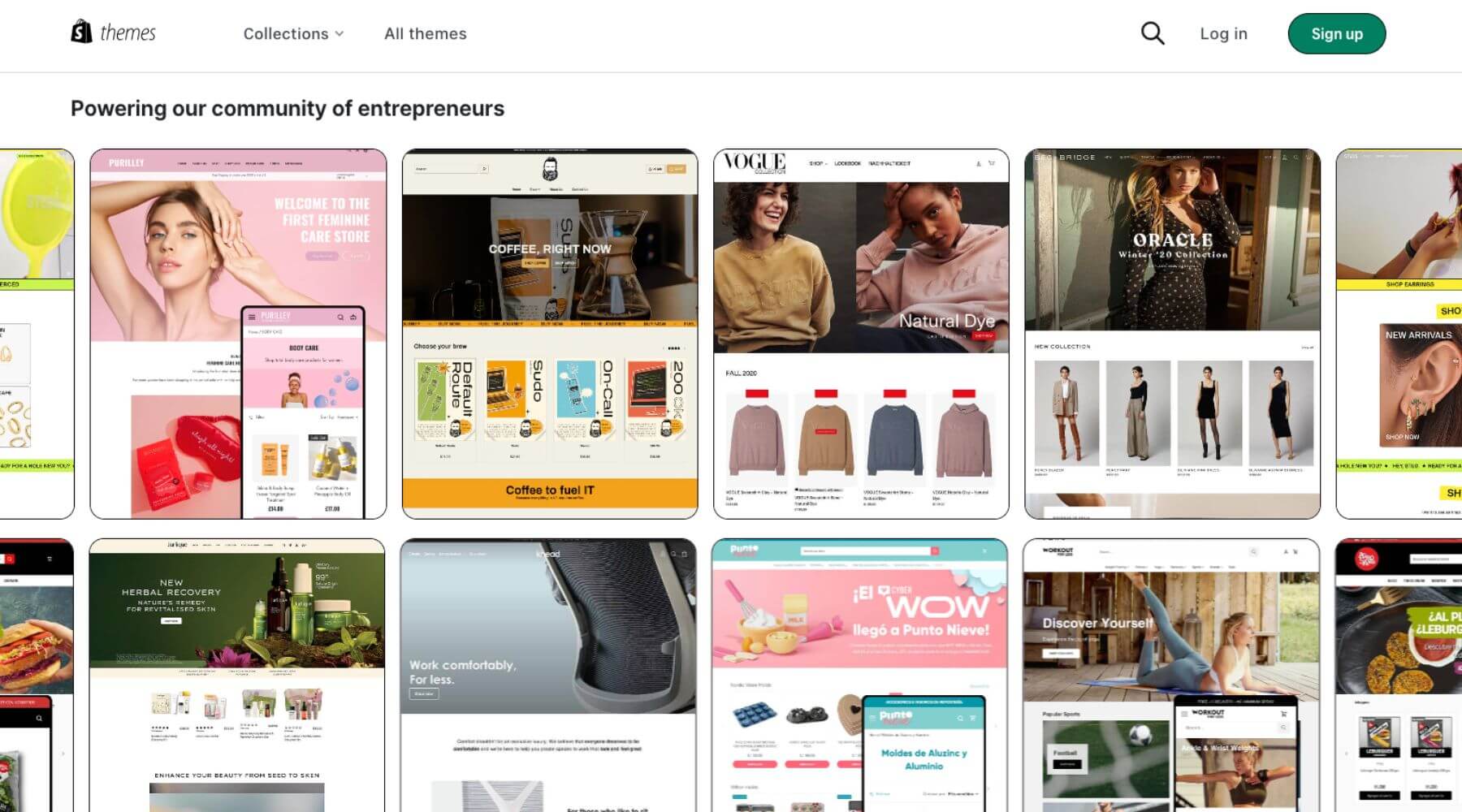 Shopify Theme