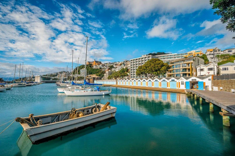 Wellington marina waterfront view