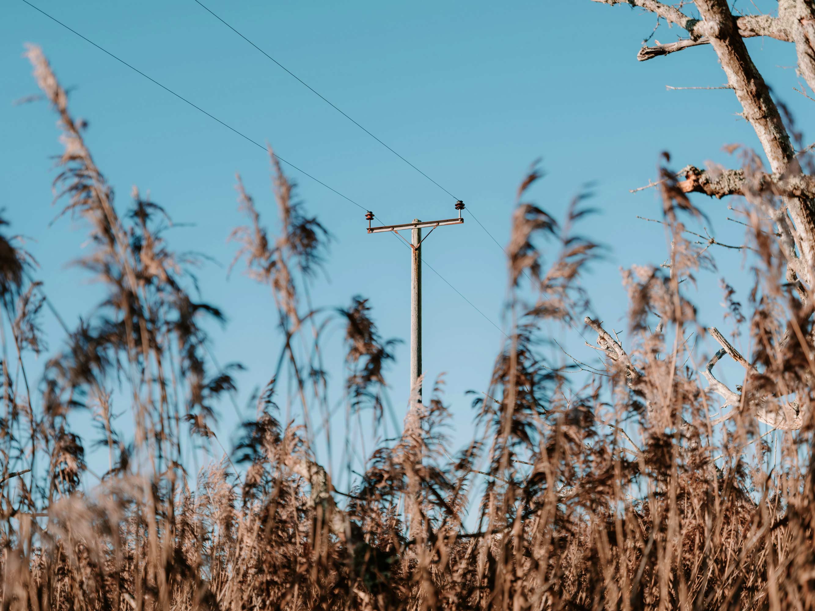Gridware | Protecting the grid