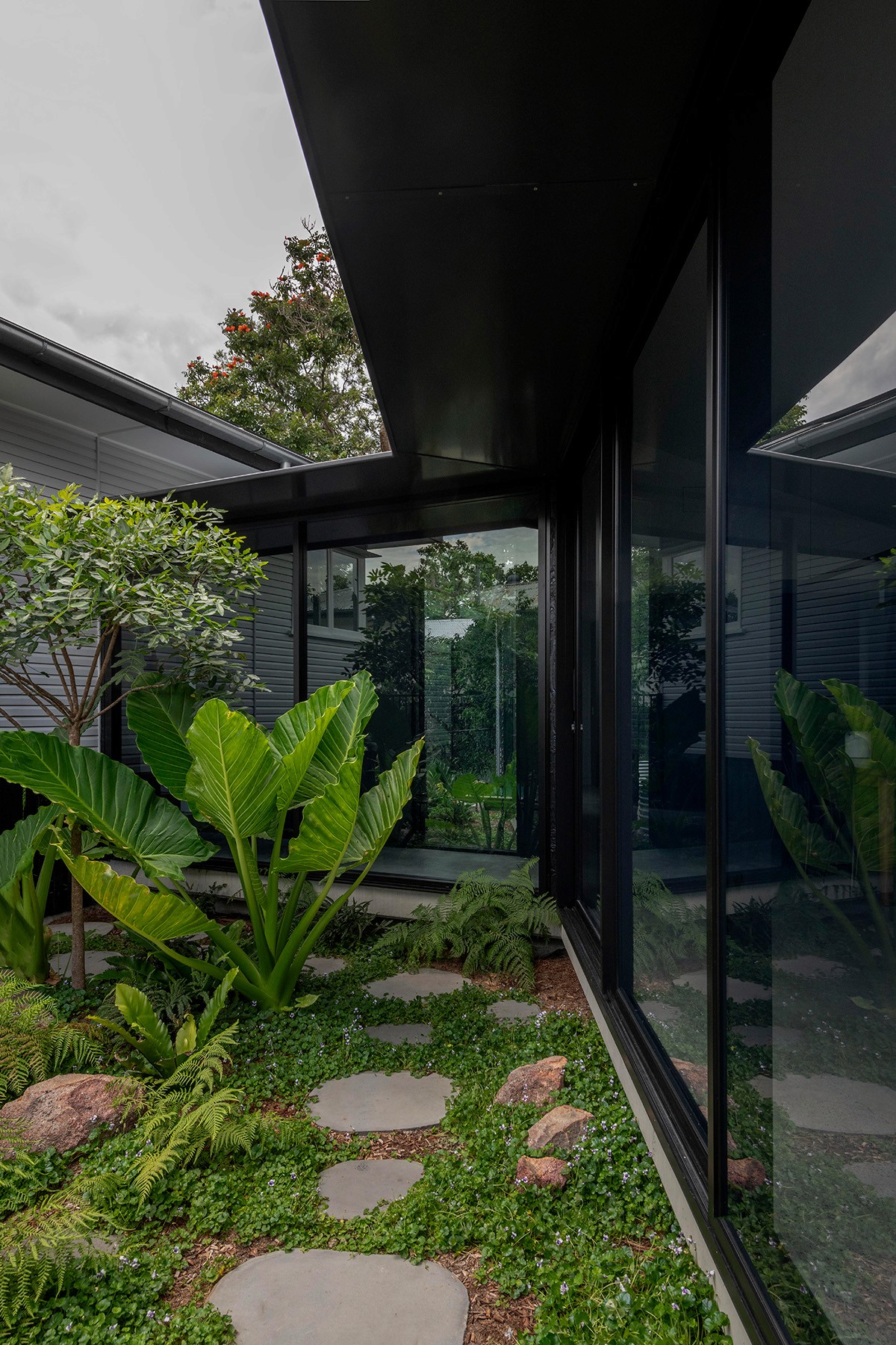 Glazed gallery and courtyard at Toohey Forest House showing connection between original home and contemporary pavilion within landscaped garden.
