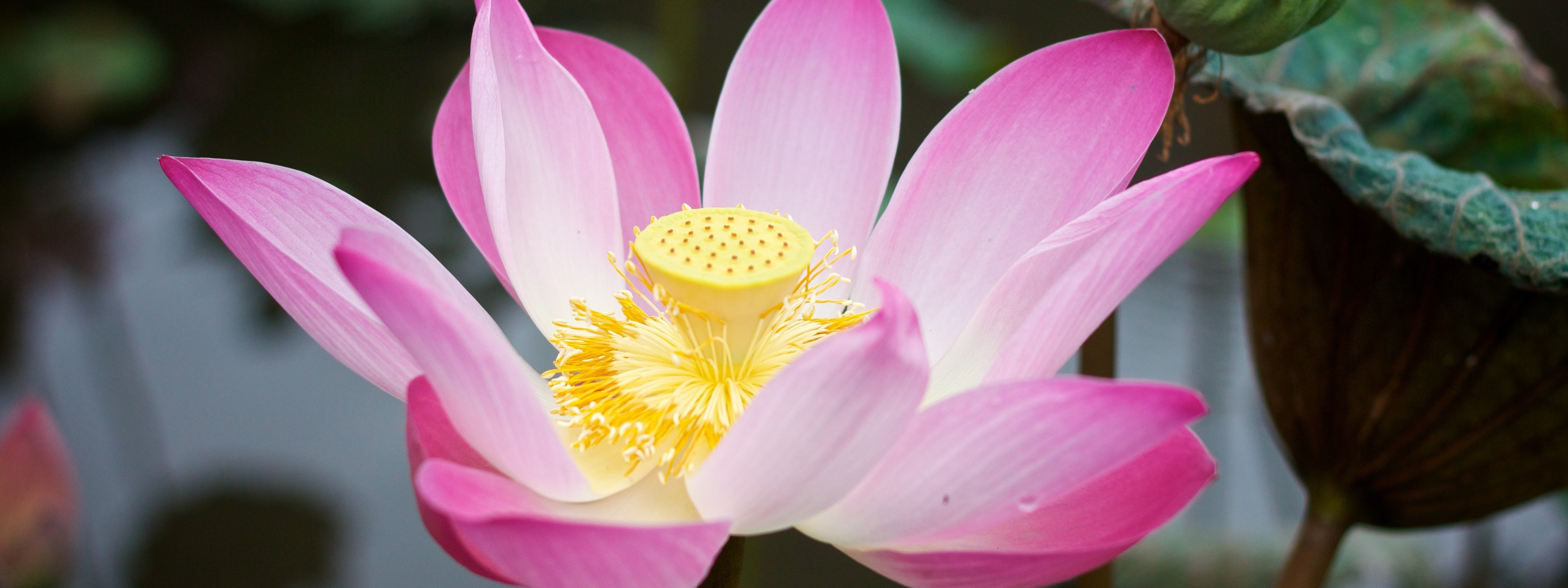 Discovering Your True Identity