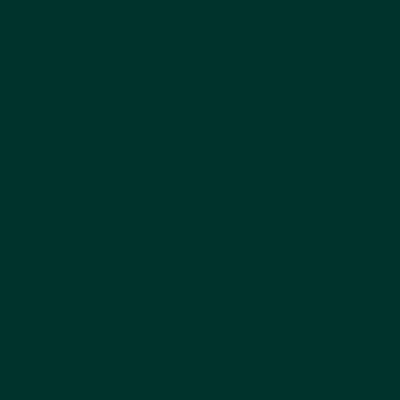 Verde Alpi Laccato Opaco (854)