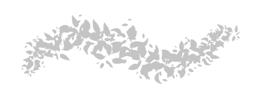 Leafy 2