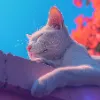 Minimalist portrait of a white sleeping cat in vibrant lighting.