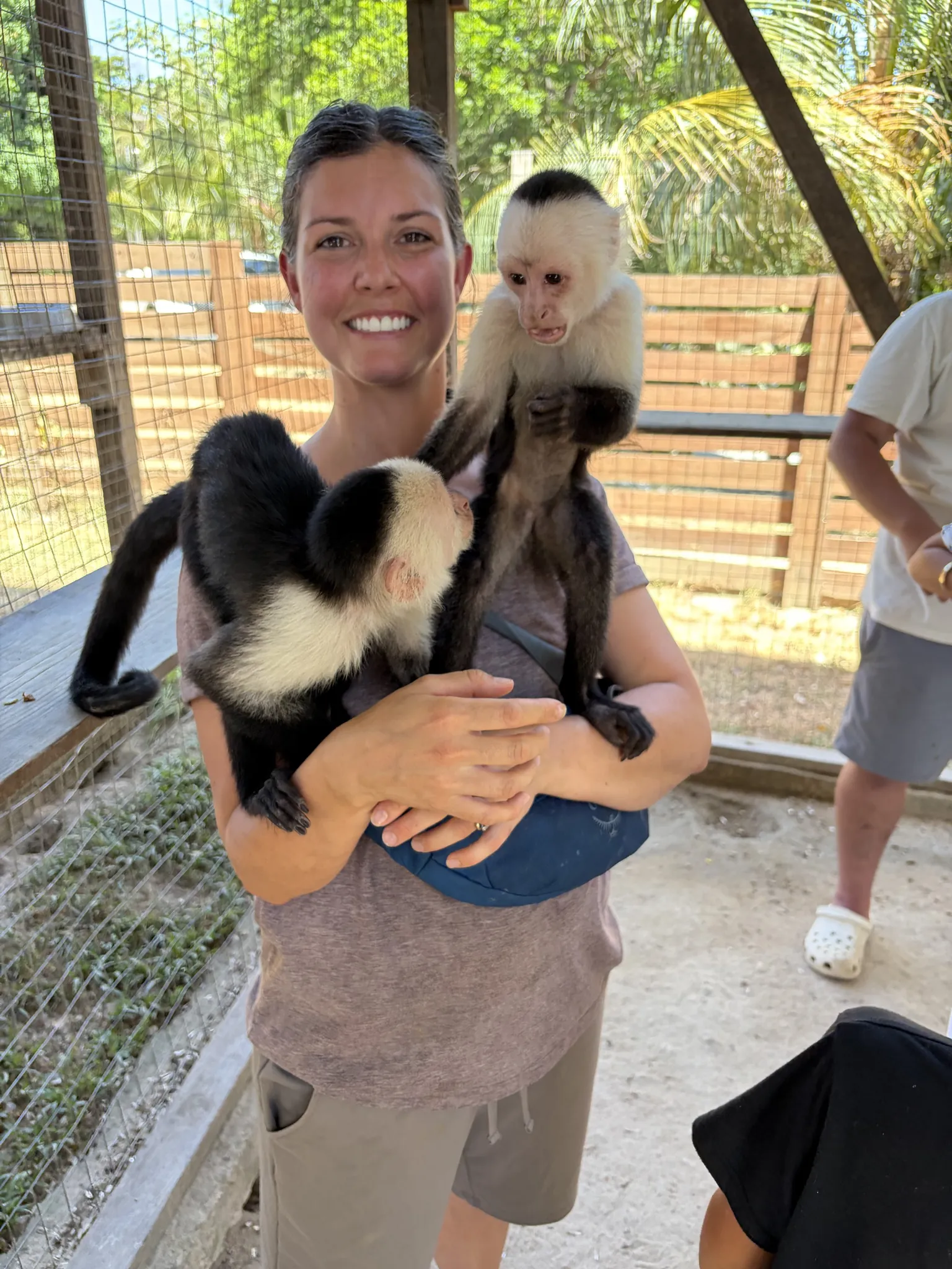 Two capuchin monkeys climbing on a visitor at AJ's Sloth and Monkey Hangout on Roatán
