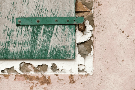 Top 5 Causes of Mold Growth in Bothell Homes Revealed!