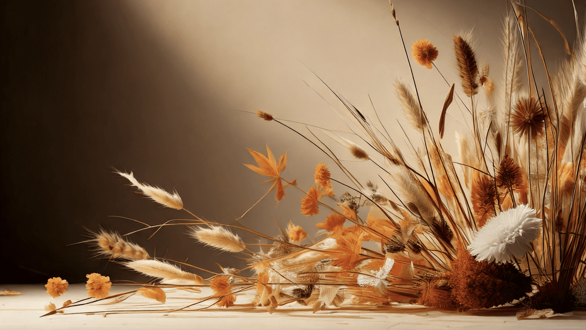 Une composition florale douce et harmonieuse aux teintes chaudes, associant des fleurs séchées dans une scène minimaliste. L'éclairage met en valeur la texture délicate des pétales et des tiges, créant une atmosphère apaisante et presque intemporelle.