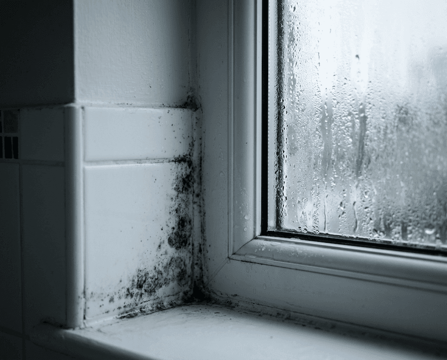 Mould / condensation close-up Condensation on a window