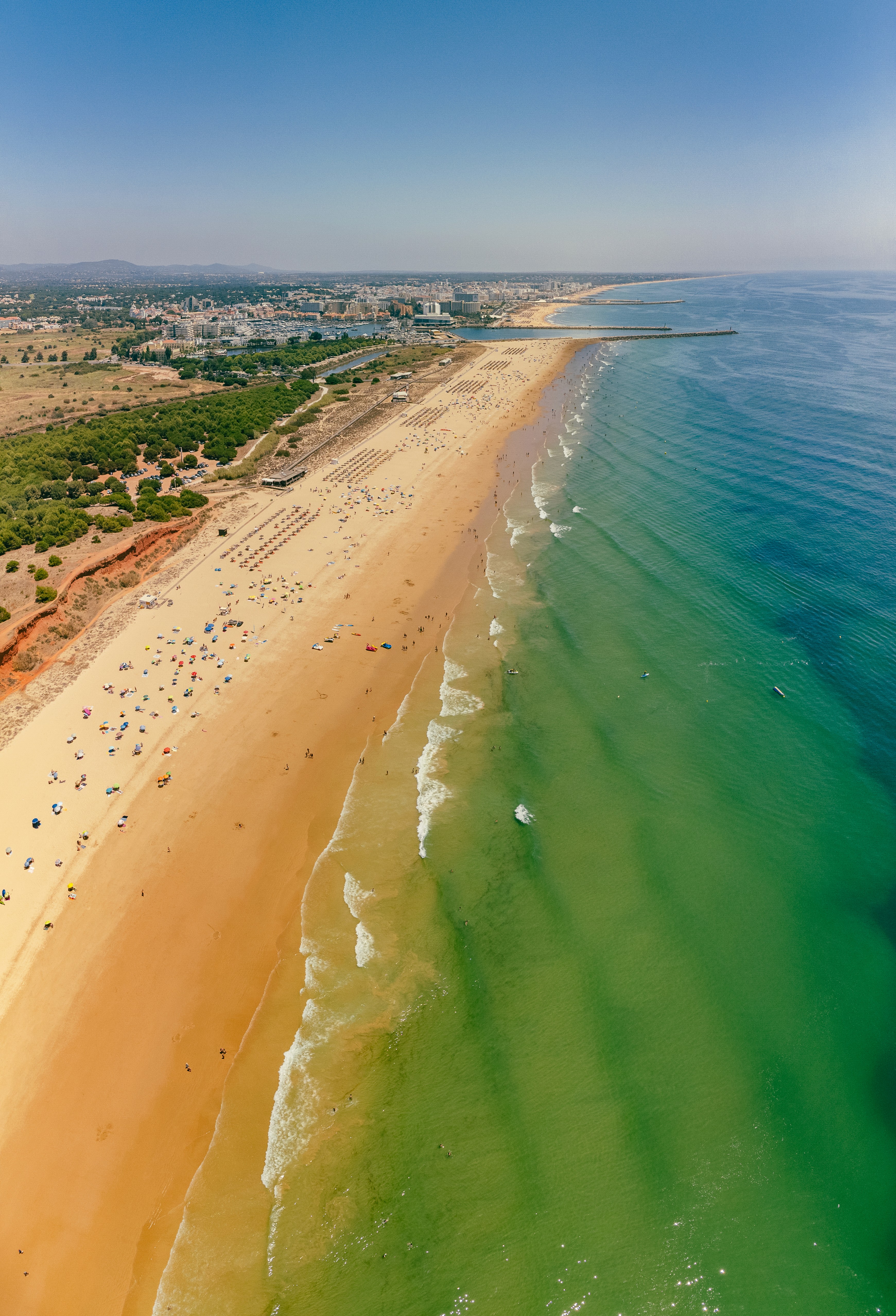 Close-up of evergreen foliage, showcasing vibrant green needles densely packed together.