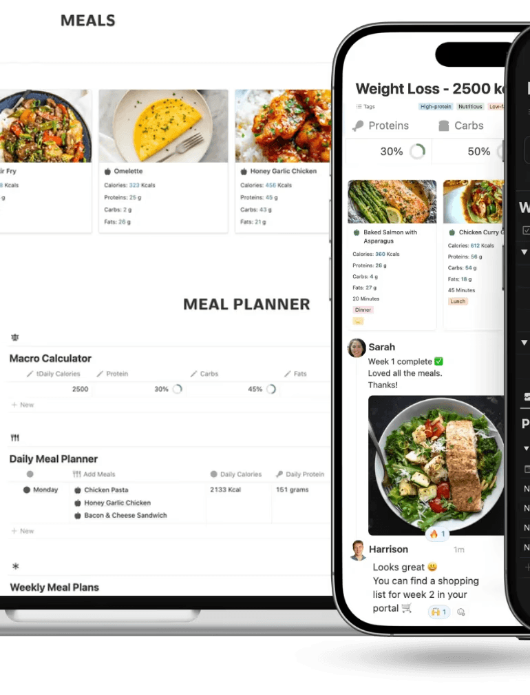 diet coaching template notion