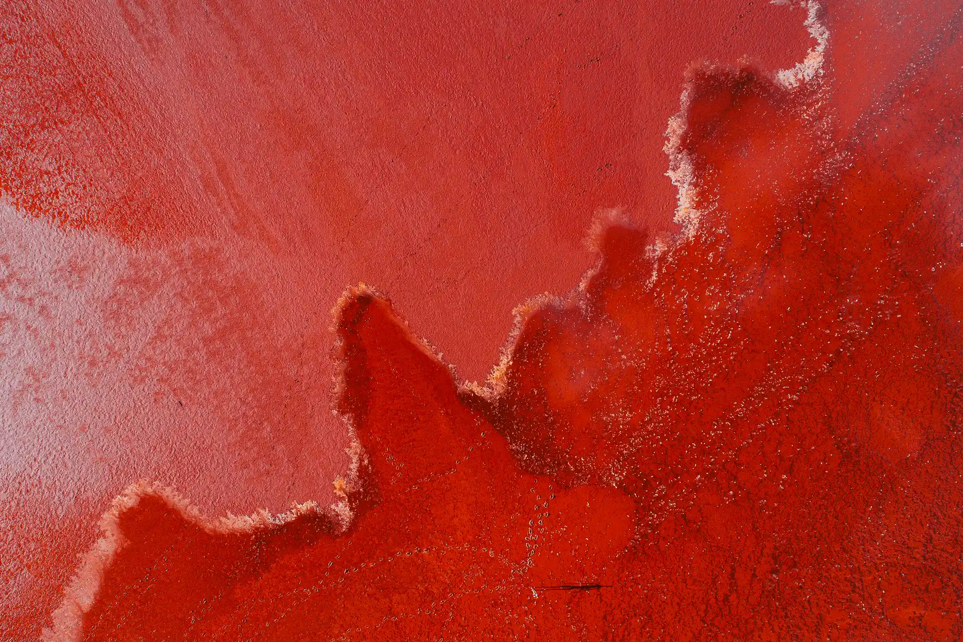 Aerial of bright red brine meeting a pale salt shoreline
