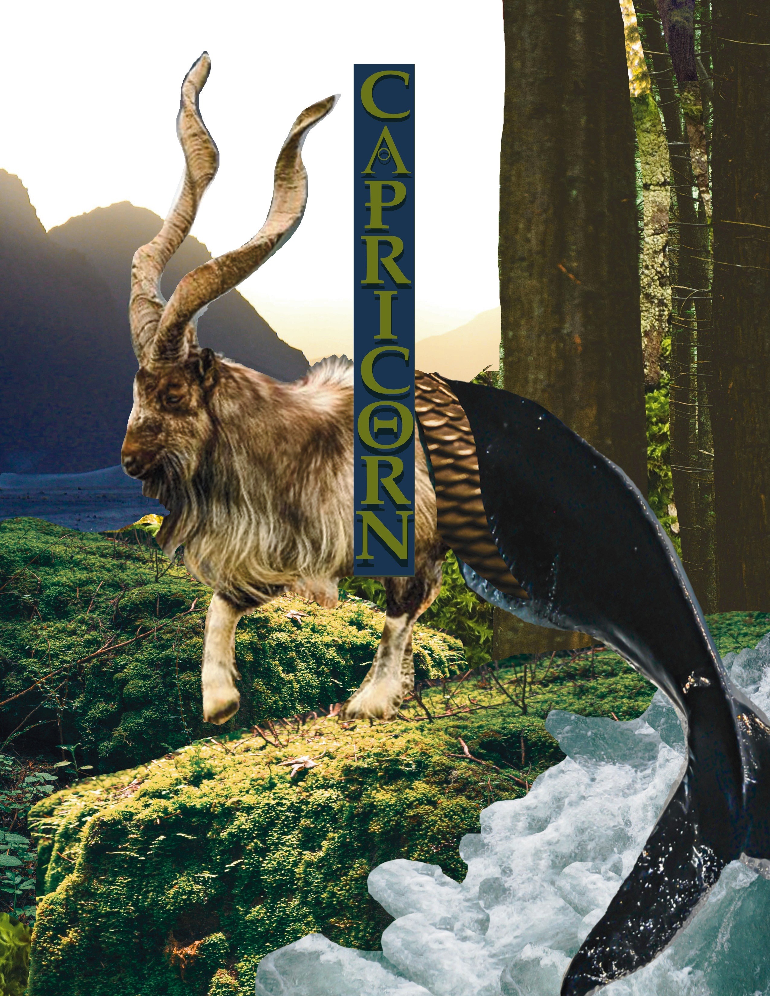 Capricorn by Morgan Fauver