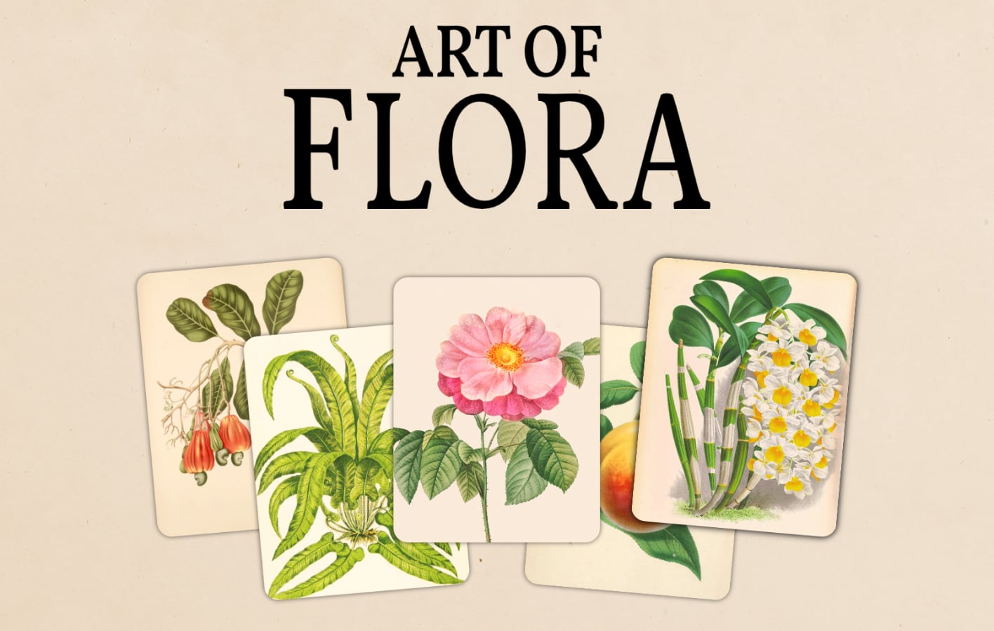 An Image of Susan Lucci, the host of Deadly Affairs