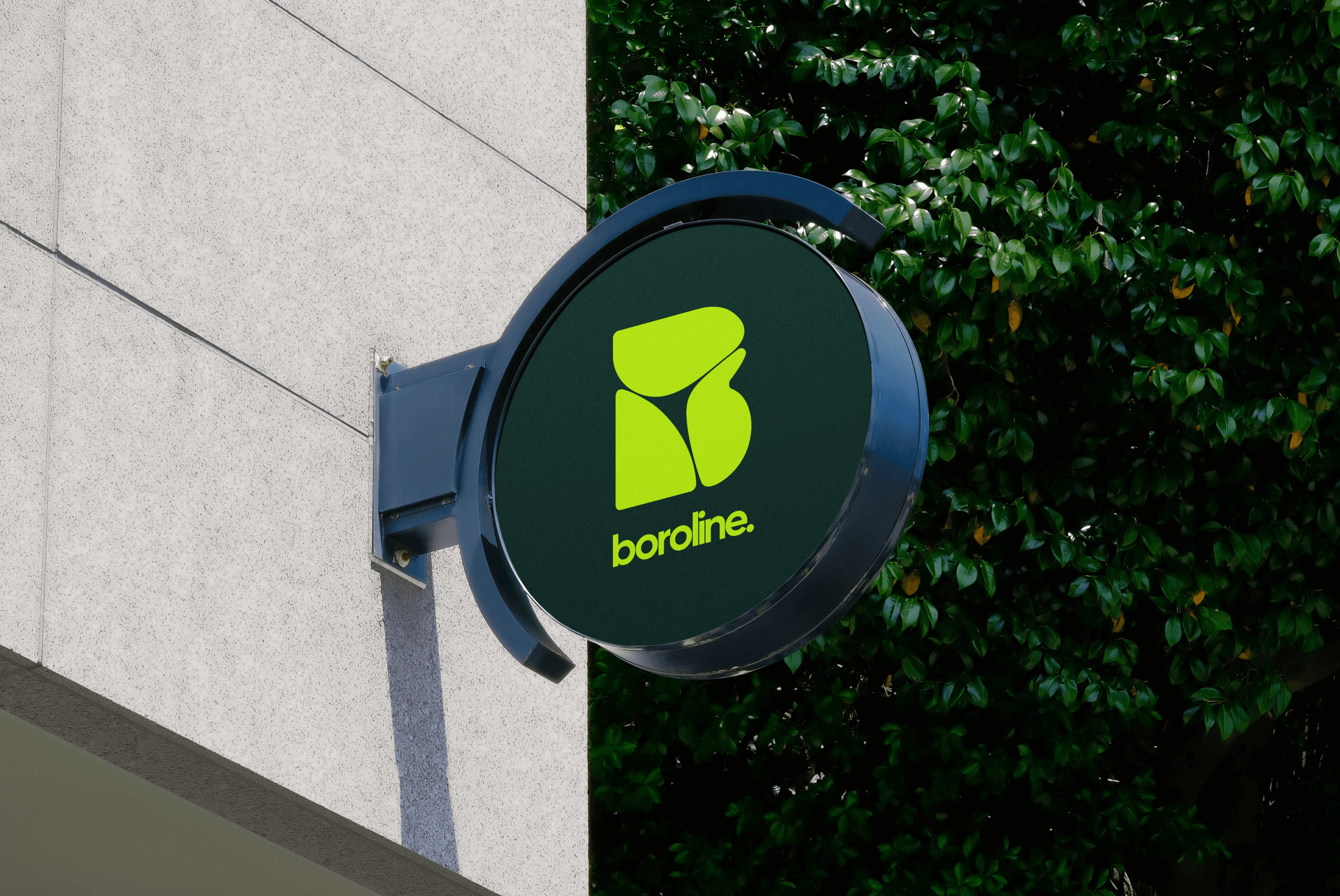 Boroline Storefront Mockup