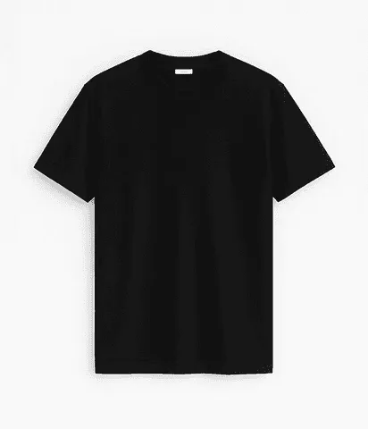 camiseta lisa