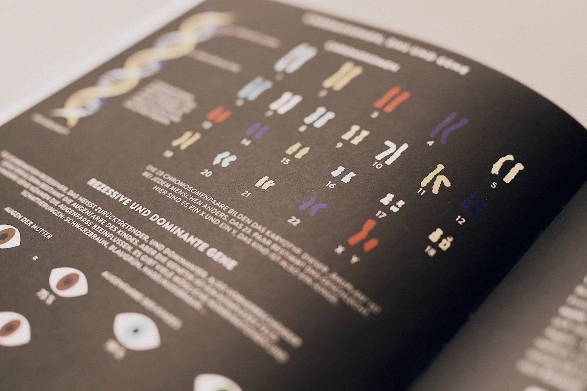 Bild eines Buches über die Menschenlichen Chromosomen Paare für die Diagnostische Punkt bei Dr med. Angela Lauten in Erfurt