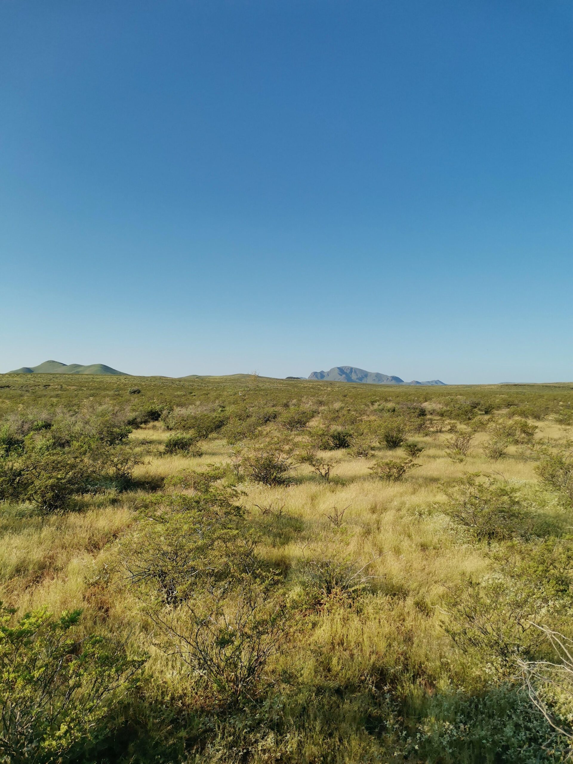 Dynamic Running Pose