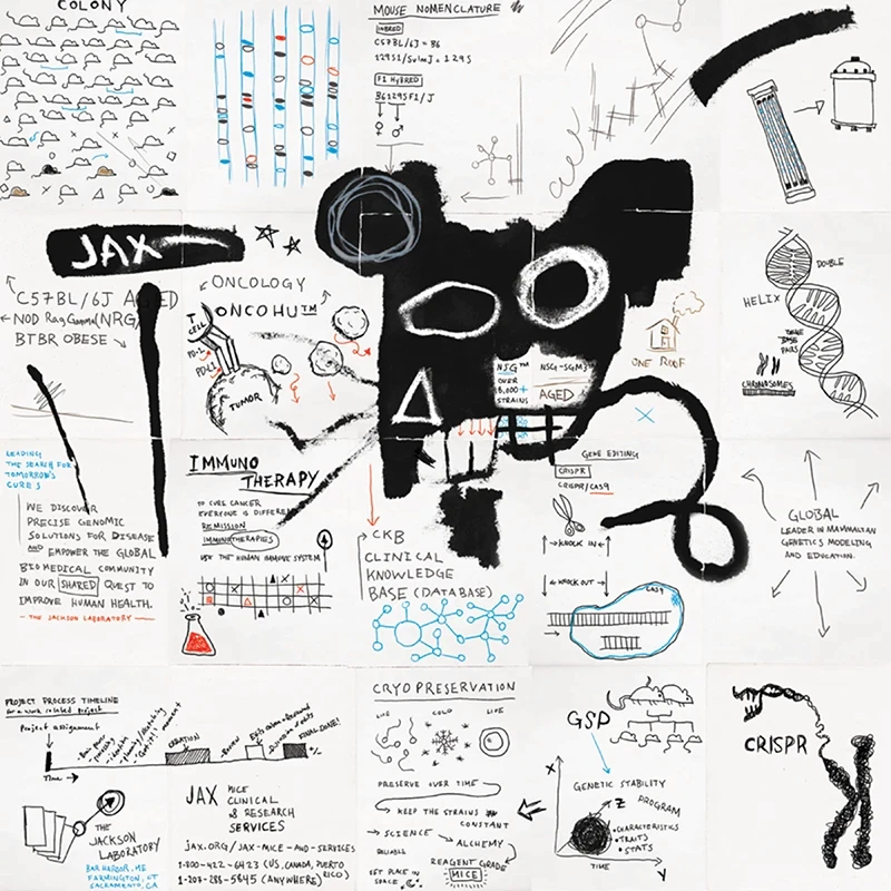 Illustration & Motion Design 2025 08