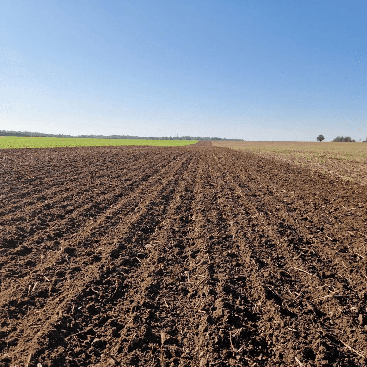 Featured Project Cover Image