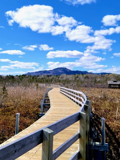 Longue passerelle sur pilotis serpentant à travers les roseaux du marais sous un ciel bleu partiellement nuageux.