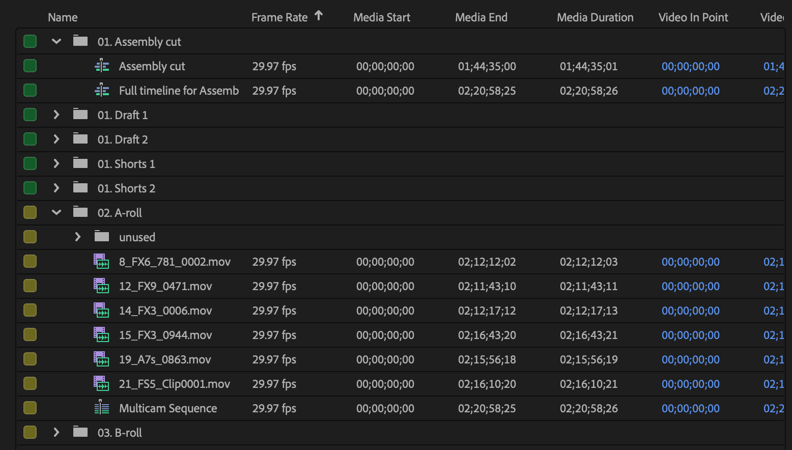 Adobe Premiere project bin structure