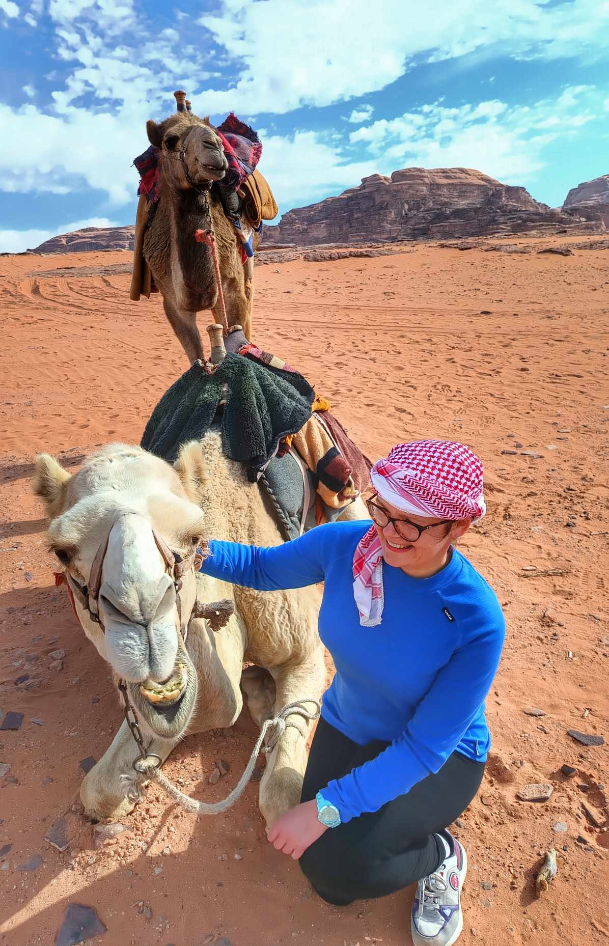 Guest on a Camel Ride petting the camel