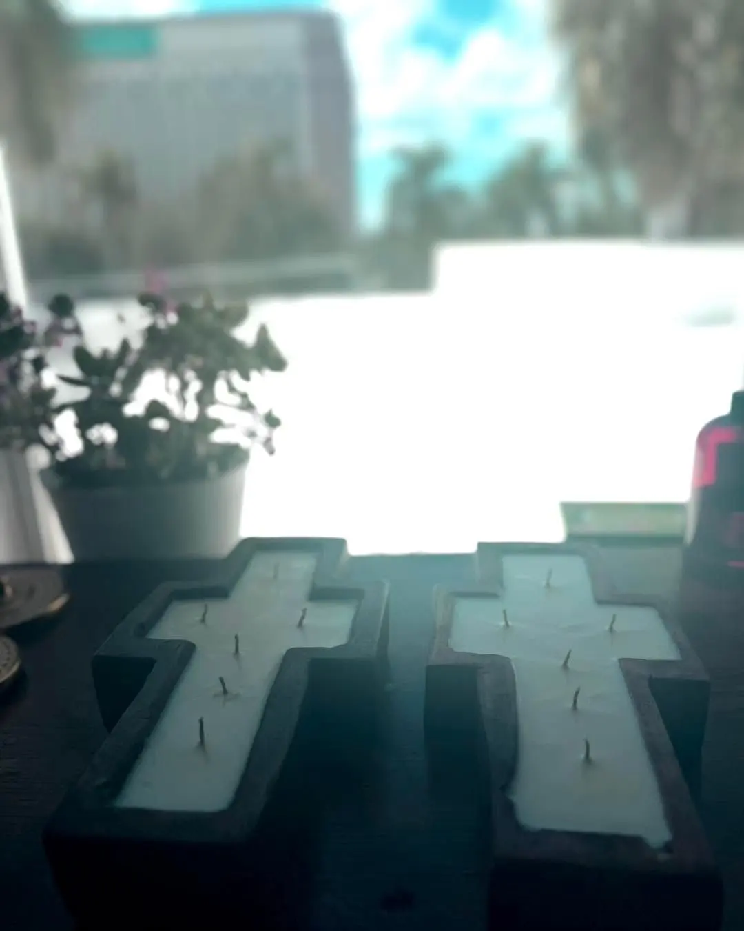 The image shows two cross-shaped candles with wicks, placed on a dark surface beside potted plants and a small bottle, against a bright window overlooking a blurred urban scene typical of Bradenton, FL.