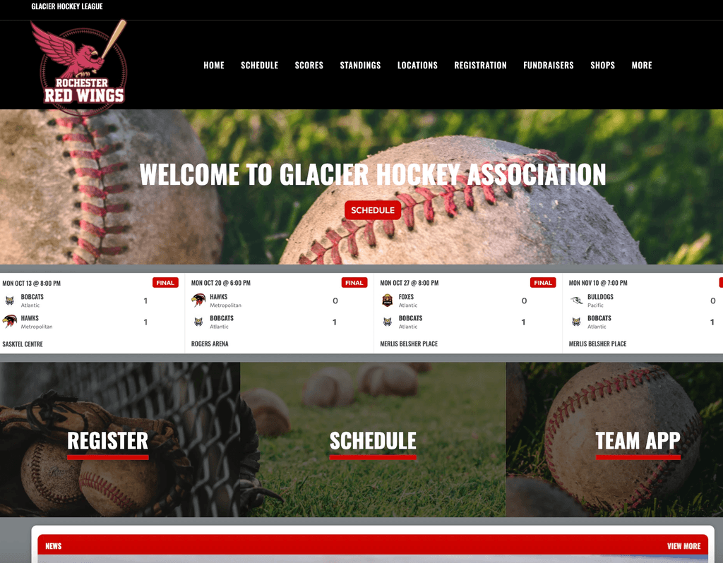 TeamLinkt's Website Template Screenshot