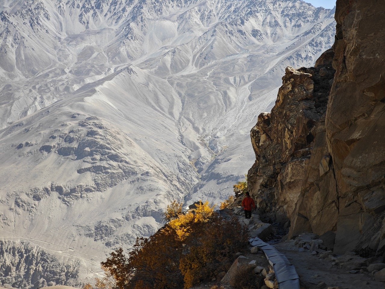 luxury booth design services, eco-friendly exhibit solutions, custom exhibit design services