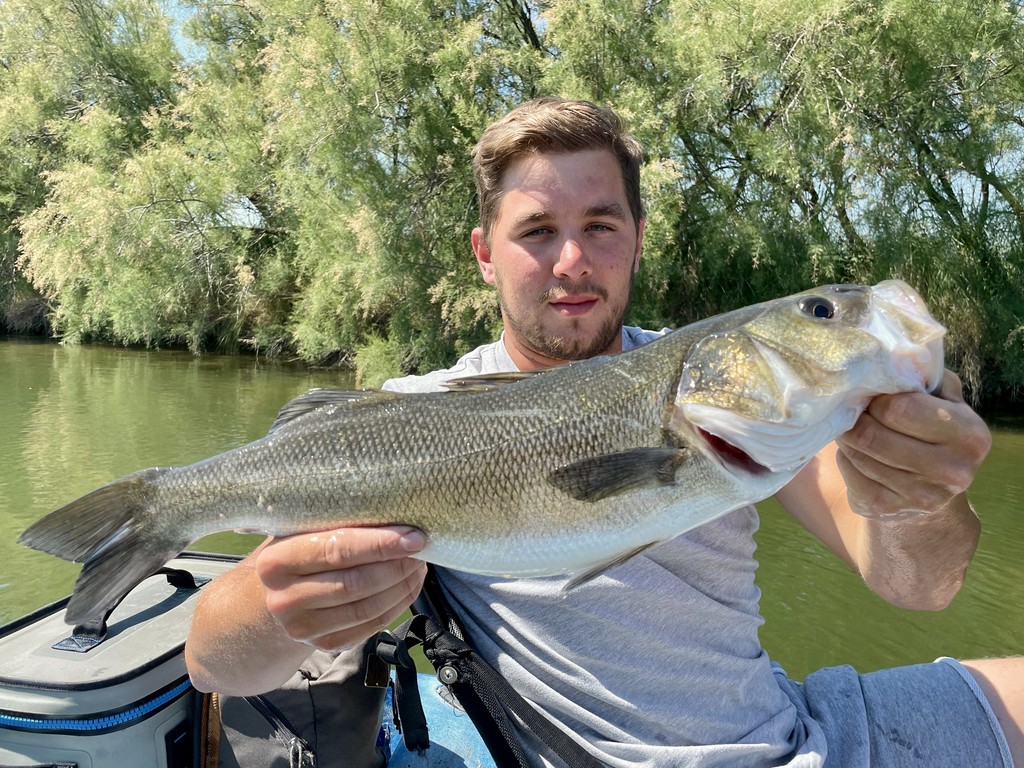 Technical fishing gear and lures curated for stealth kayak fishing in the Italian lagoon.