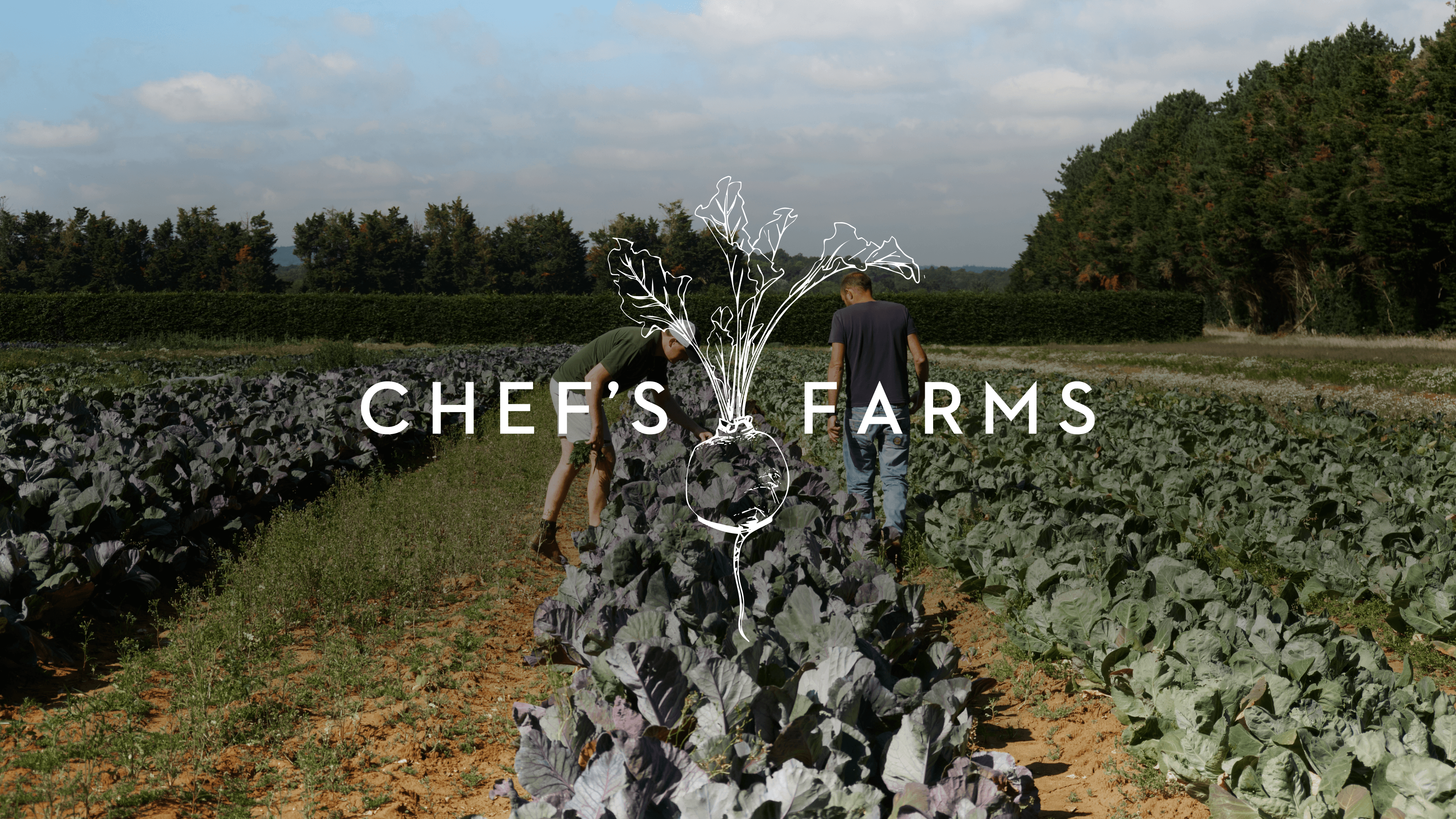 Chef's Farms – GEORGE COSBY STUDIO | Brand Worlds Built At Moments Of Change