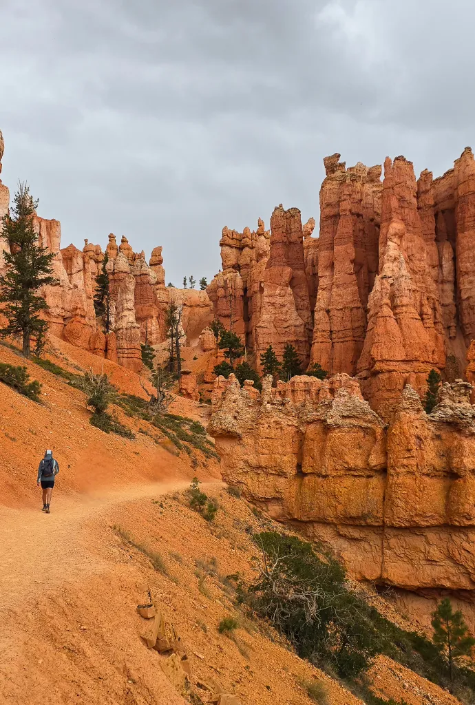 Приключение Намибия, Panic Storm IV