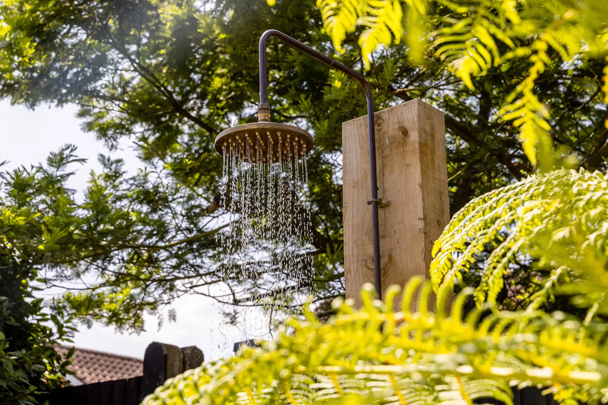 A wooden bird feeder hangs among lush green foliage, with sunlight filtering through the leaves.