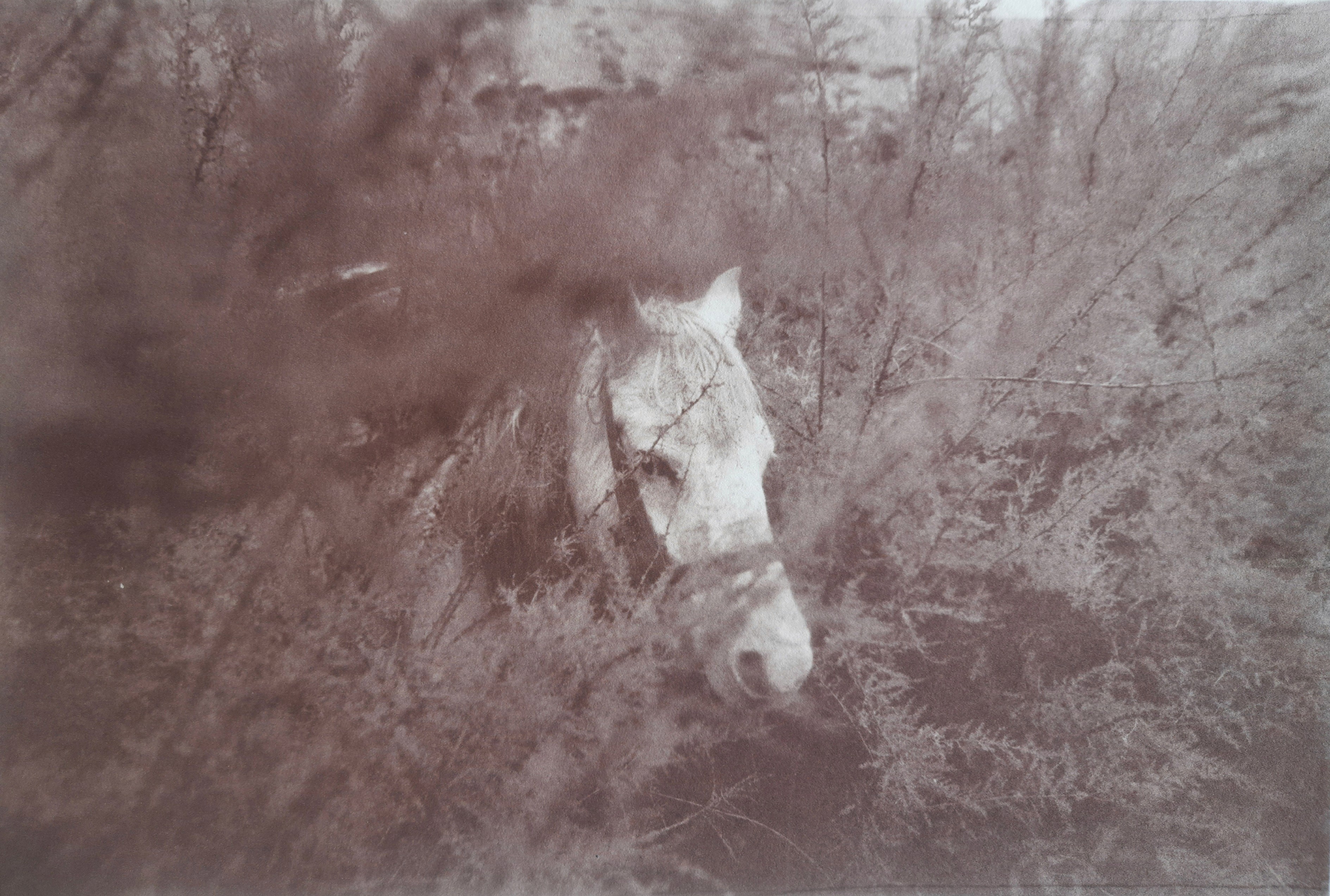 herd of sheep on road painting