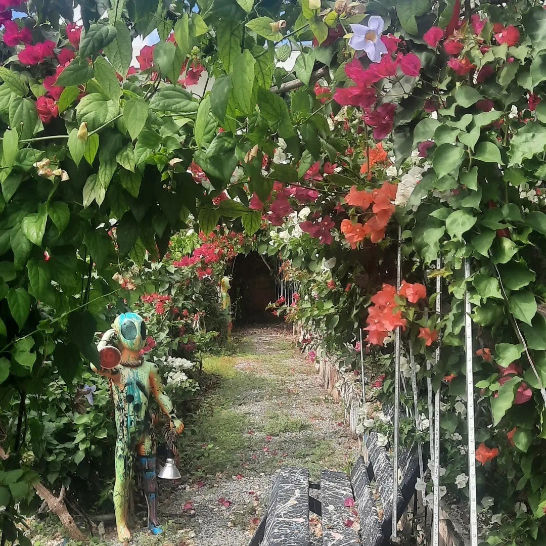 Natural Wall Planting, Punta Cana
