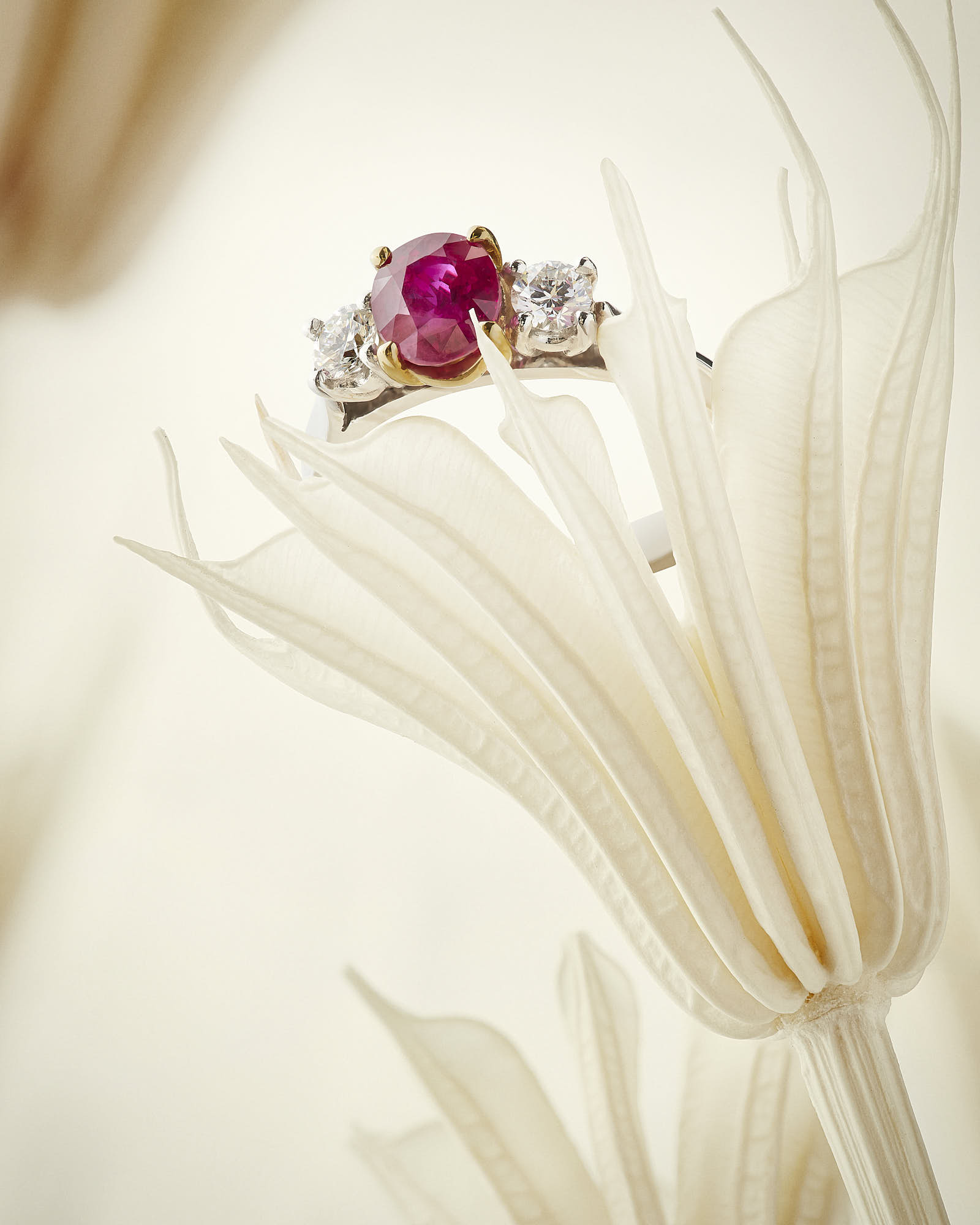 Elegant ruby and diamond ring on delicate ivory flower.