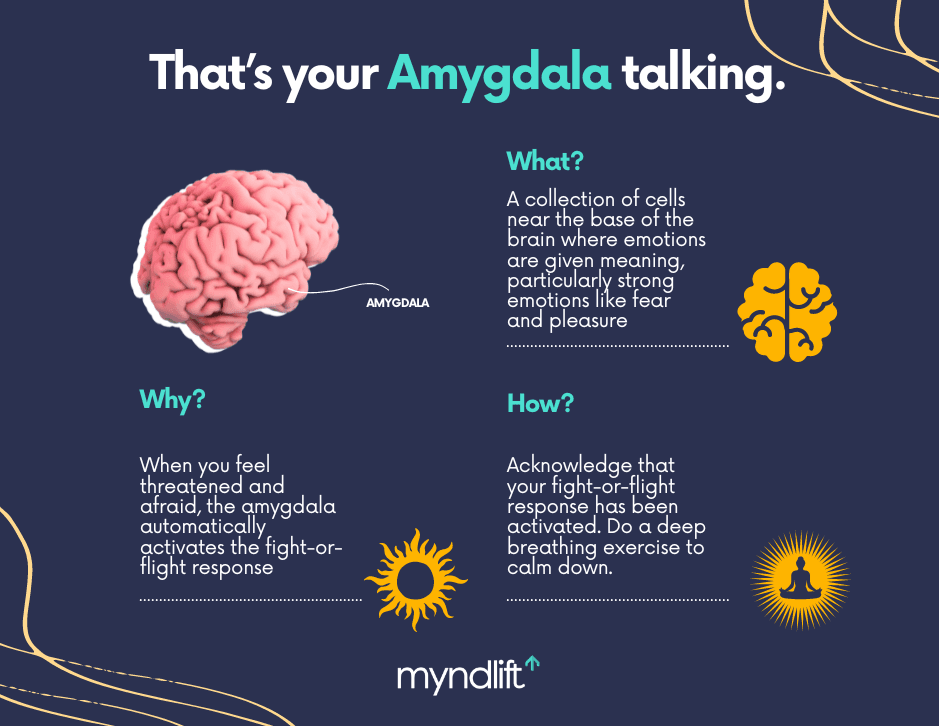 According to The Body Keeps the Score, the amygdala becomes hypersensitive after we experience a traumatic event.