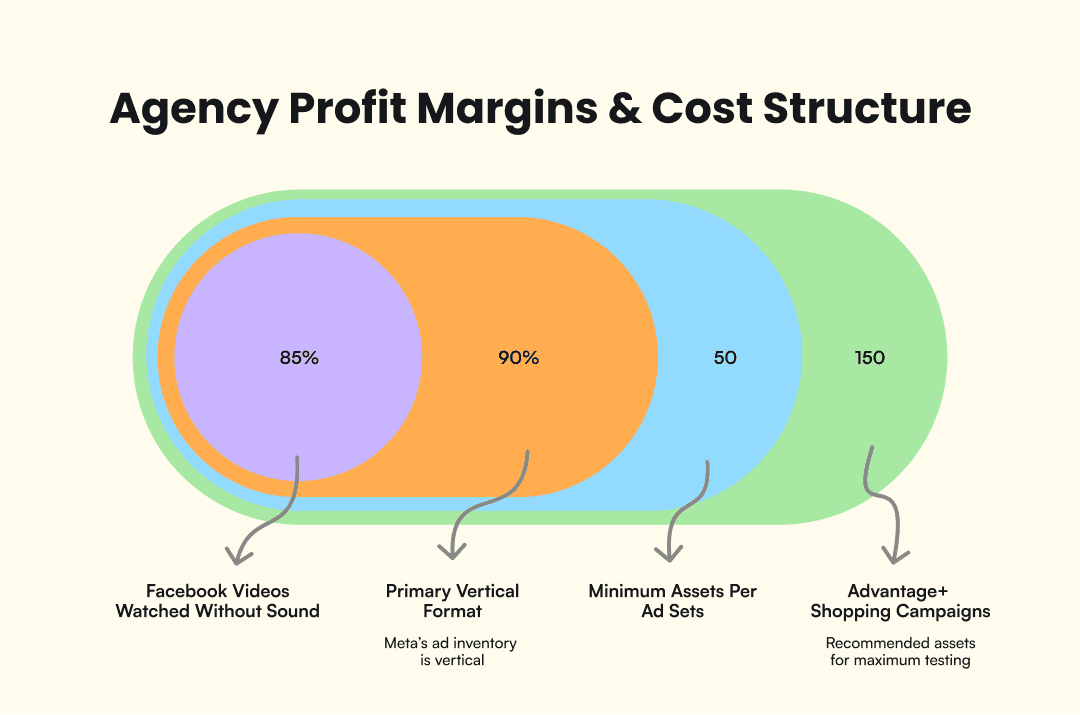 Infographic that shows the agecny profit margins & cost structure