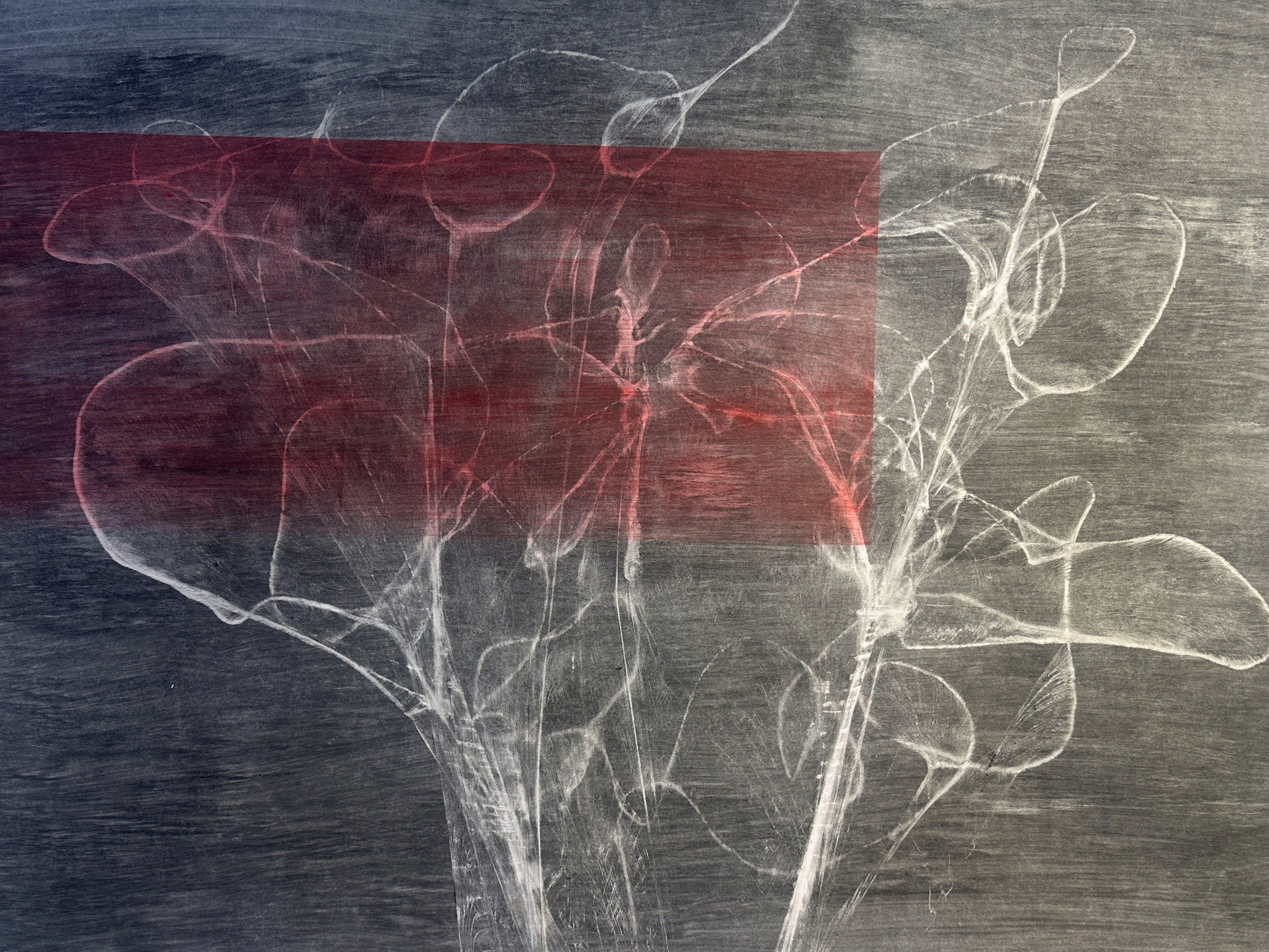 Scapes by Audeep Cariens