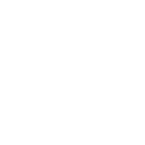 download icon