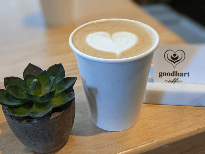 A coffee cup next to a small potted cactus