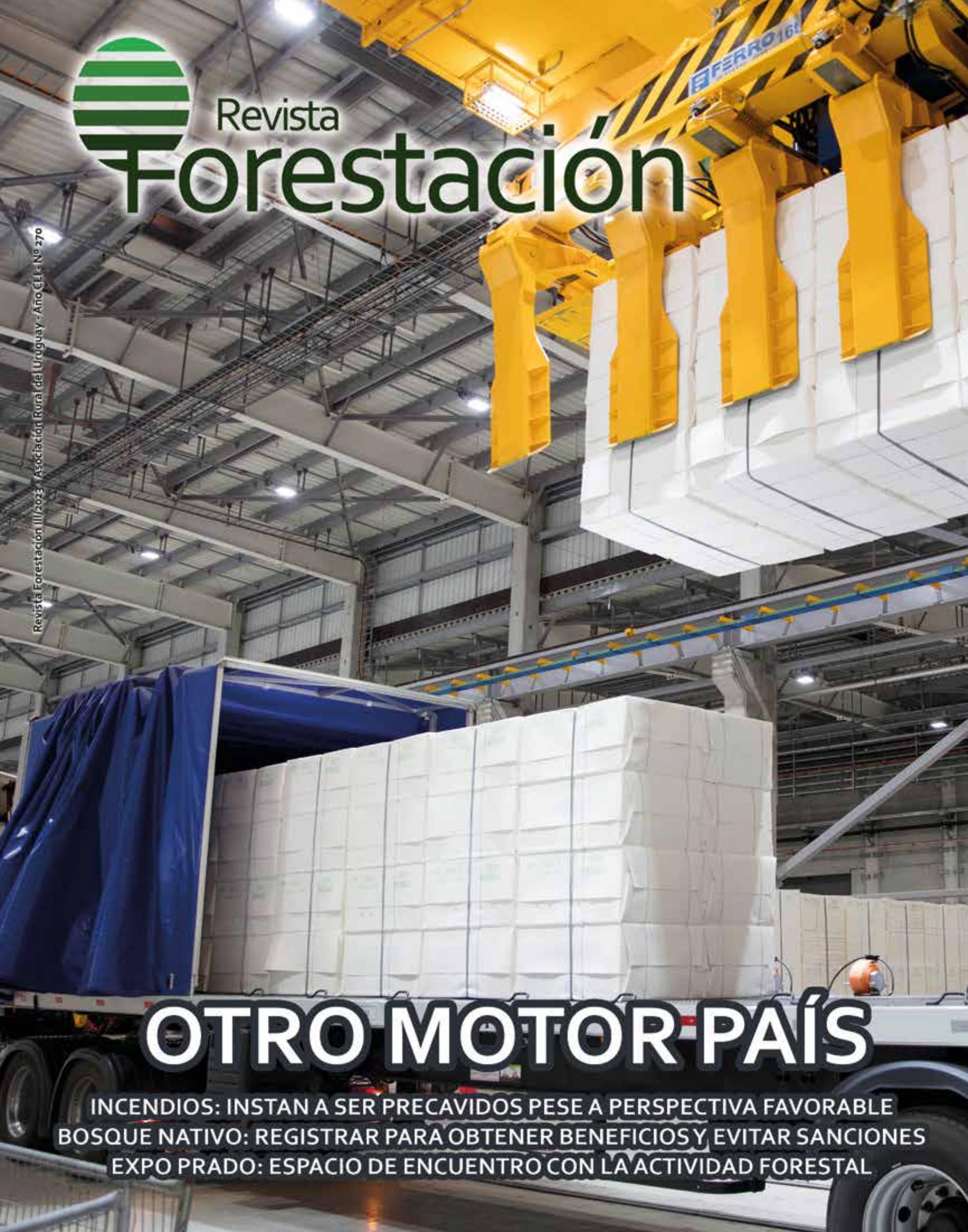 Forestacion 270 ARU