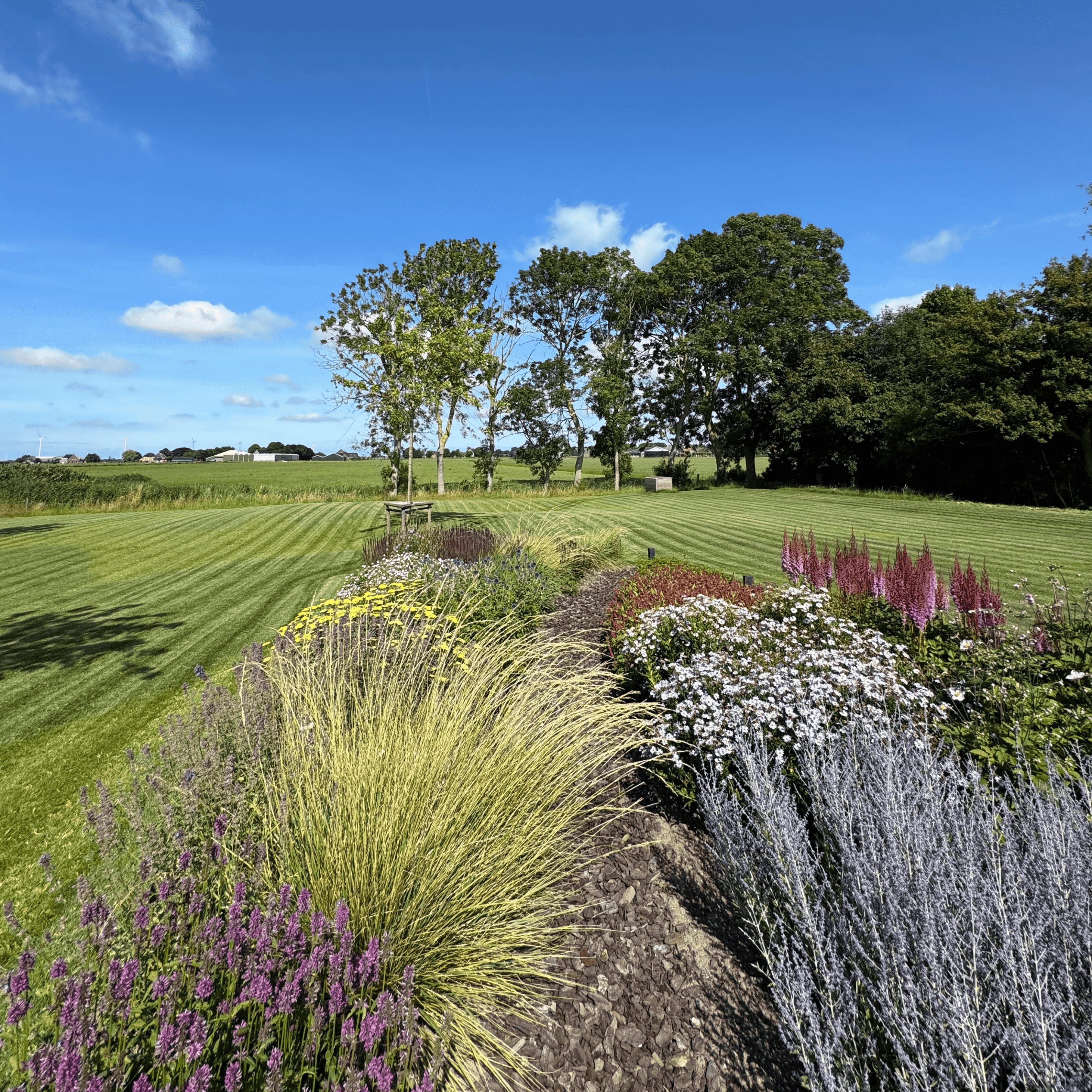 A modern, luxury beachfront villa with large glass windows and balconies overlooks a rocky shoreline, surrounded by palm trees at sunset.