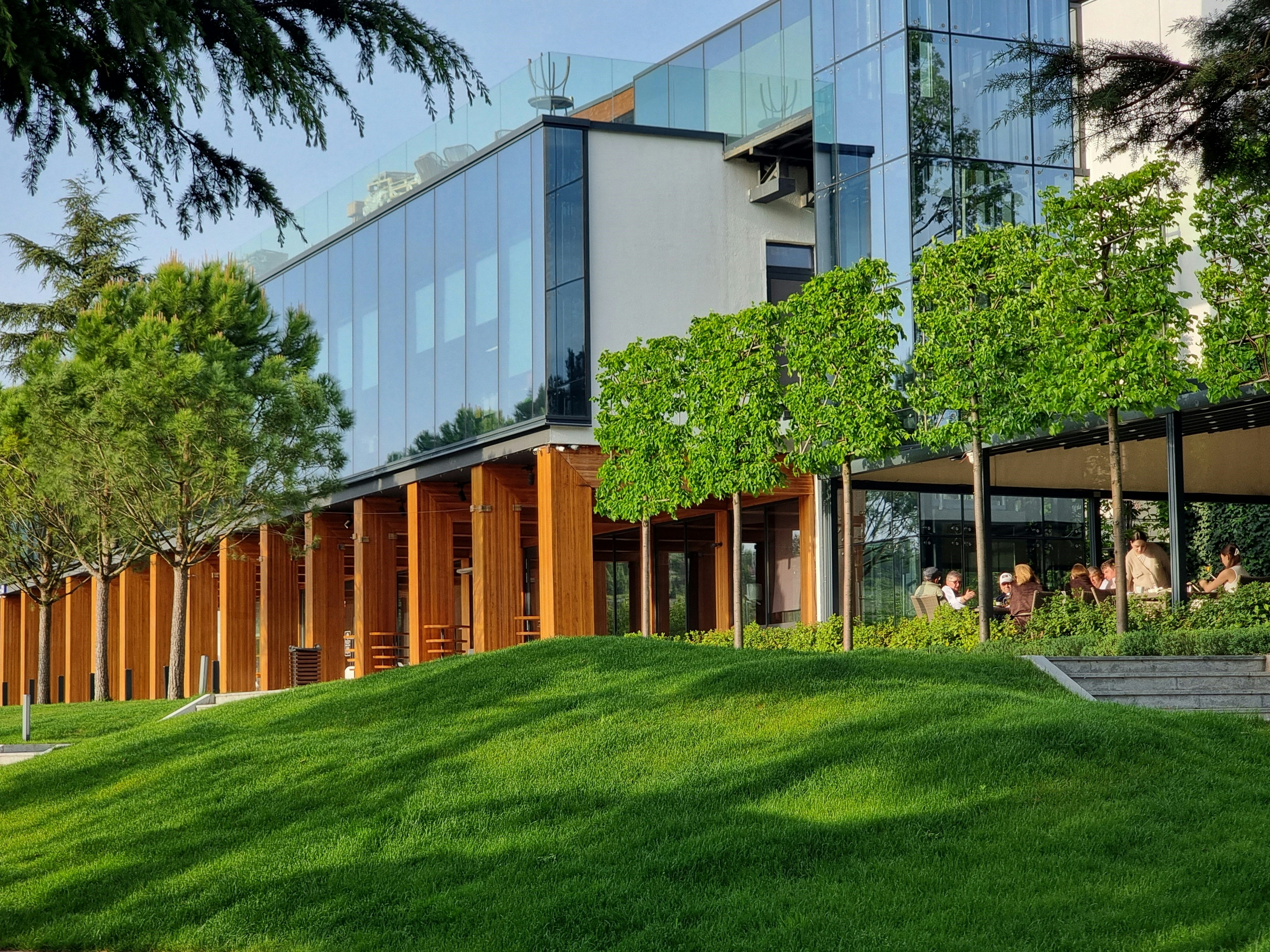 Ducks swim in front of a building.