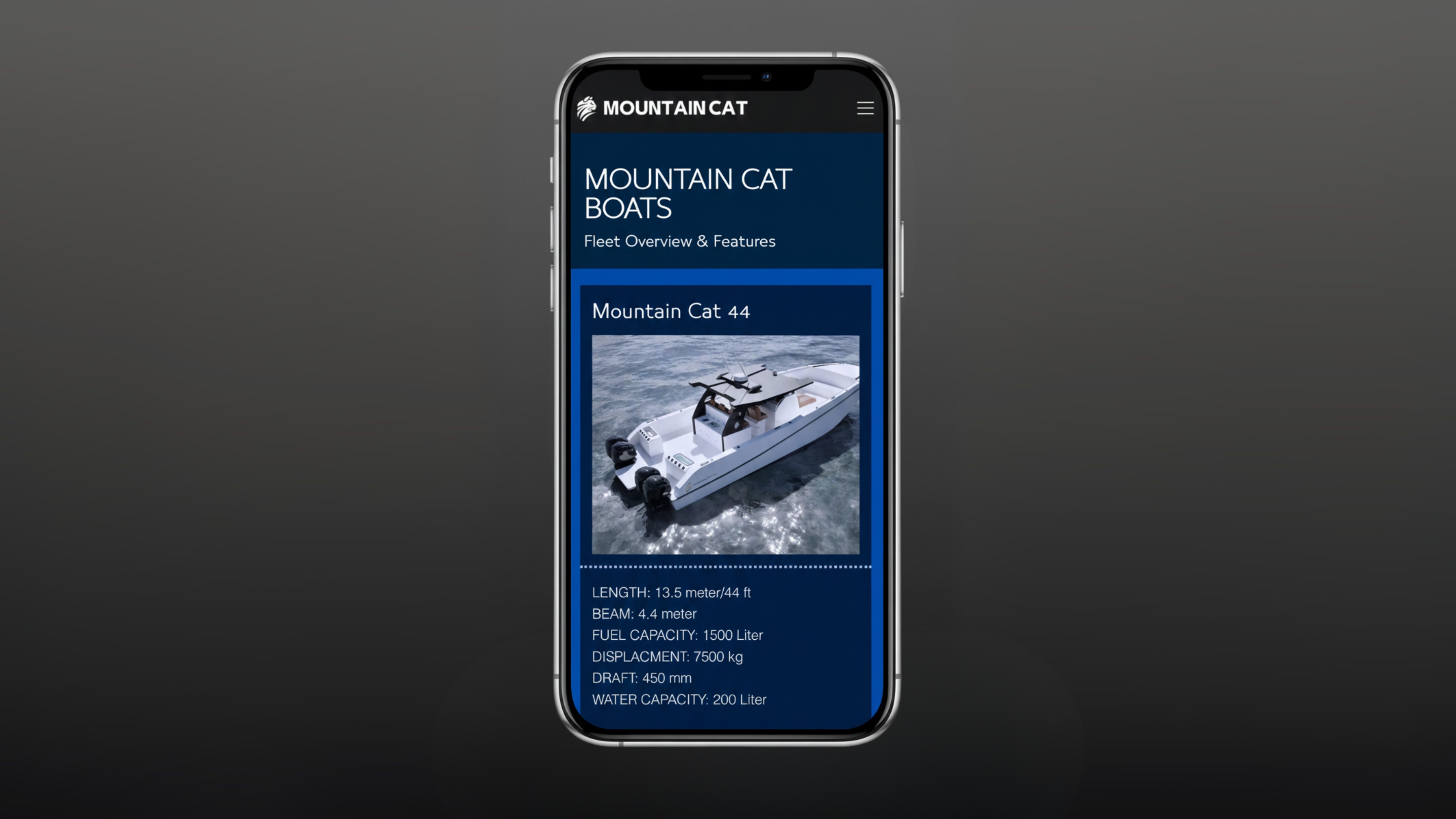 Work Showcase: Mountain Cat
