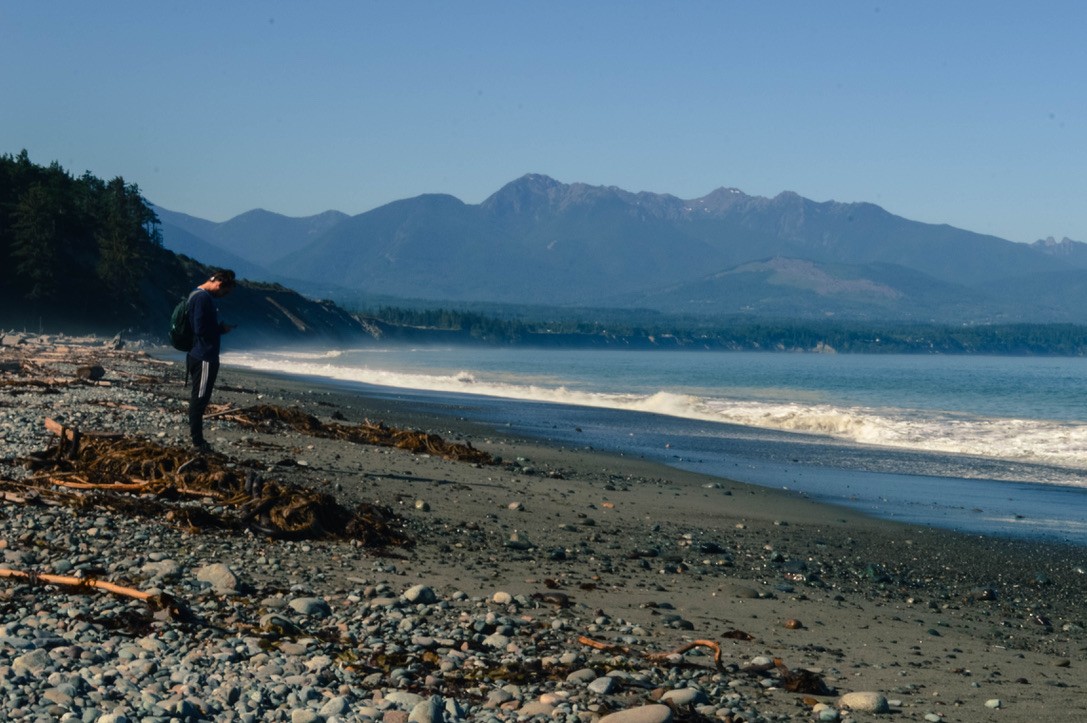 A person checks their phone on a quiet, rocky beach with ocean waves and mountains behind them, illustrating the modern distractions that affect mindfulness and chronic pain awareness.