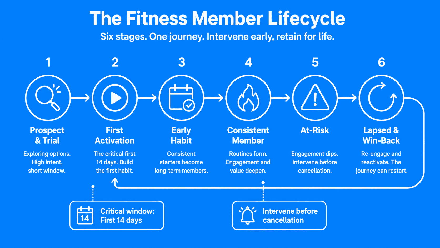 6 stages of the fitness member lifecycle