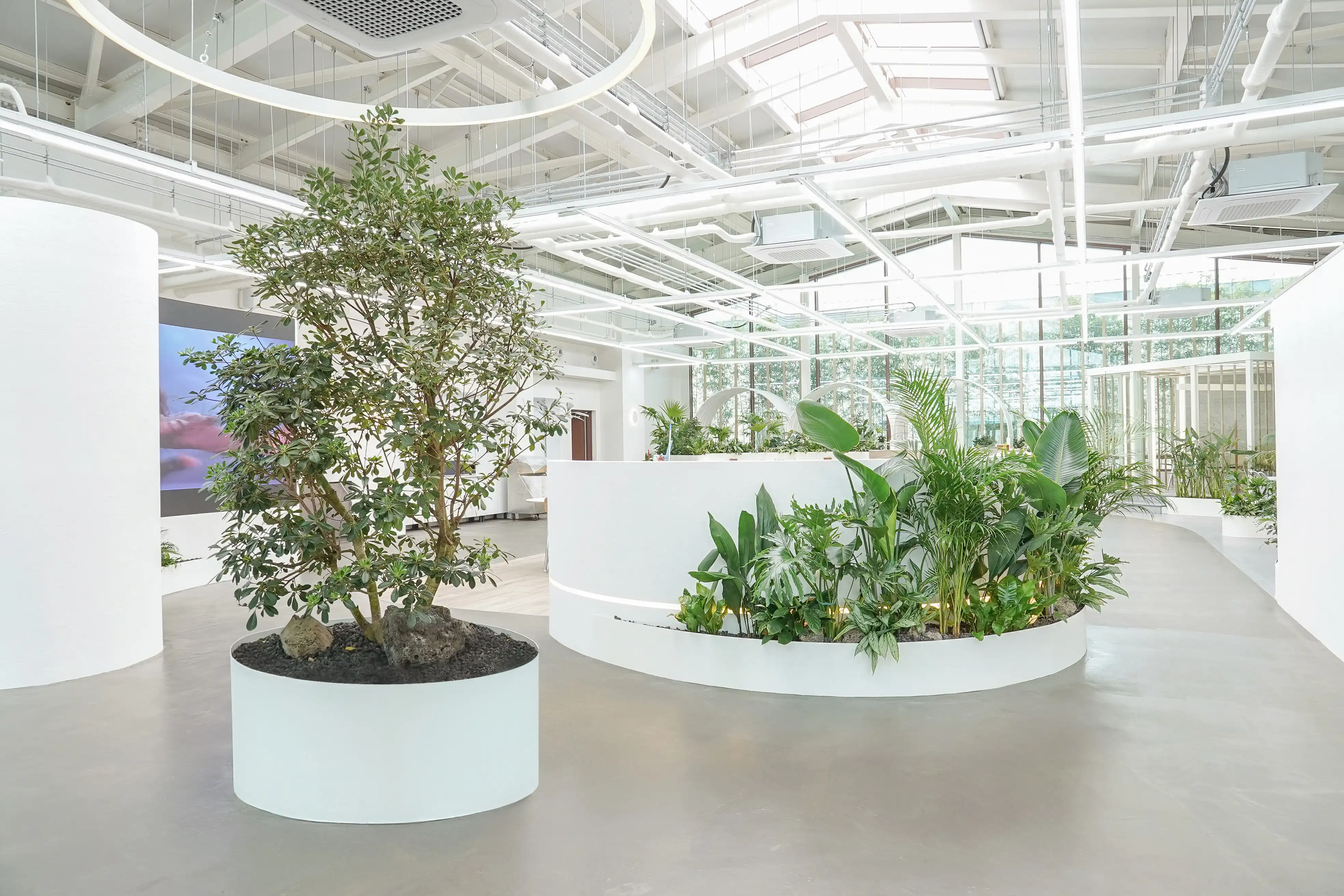 카페에 설치된 에코피플 식물인테리어와 실내정원