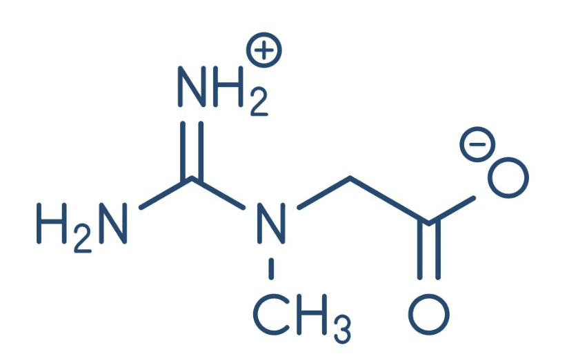 Molecular Structure of Creatine